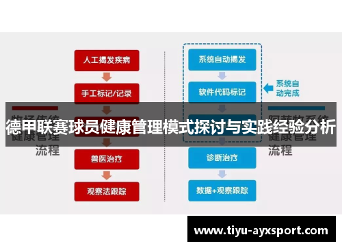 德甲联赛球员健康管理模式探讨与实践经验分析