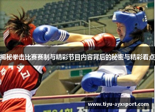 揭秘拳击比赛赛制与精彩节目内容背后的秘密与精彩看点