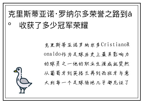 克里斯蒂亚诺·罗纳尔多荣誉之路到底收获了多少冠军荣耀