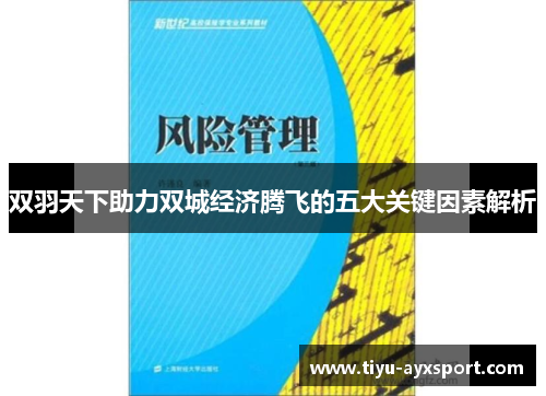 双羽天下助力双城经济腾飞的五大关键因素解析