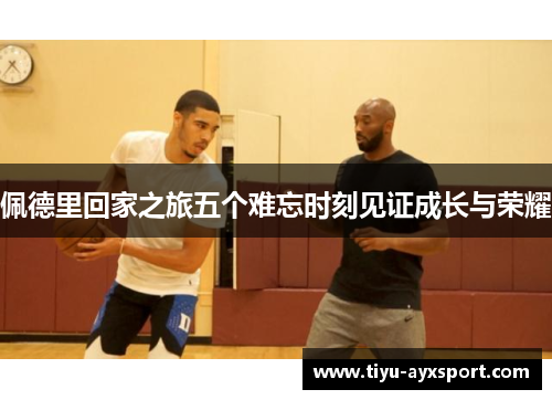 佩德里回家之旅五个难忘时刻见证成长与荣耀