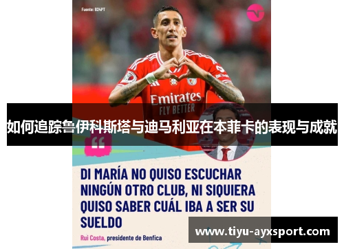 如何追踪鲁伊科斯塔与迪马利亚在本菲卡的表现与成就