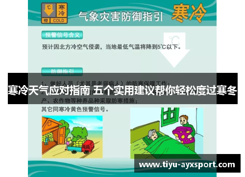寒冷天气应对指南 五个实用建议帮你轻松度过寒冬