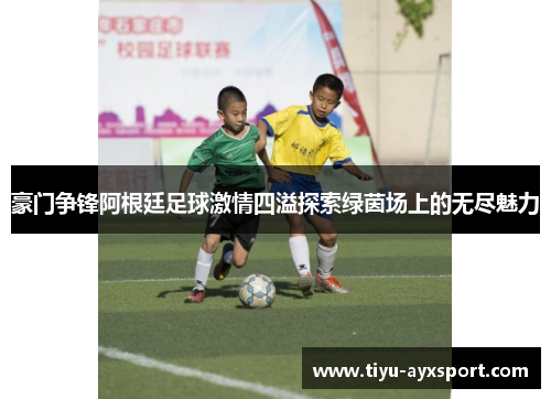 豪门争锋阿根廷足球激情四溢探索绿茵场上的无尽魅力
