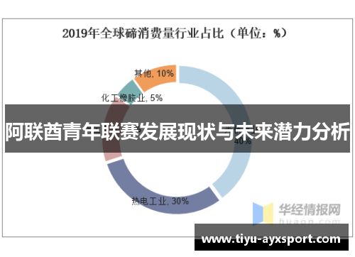 阿联酋青年联赛发展现状与未来潜力分析
