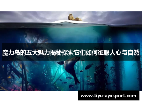 魔力鸟的五大魅力揭秘探索它们如何征服人心与自然